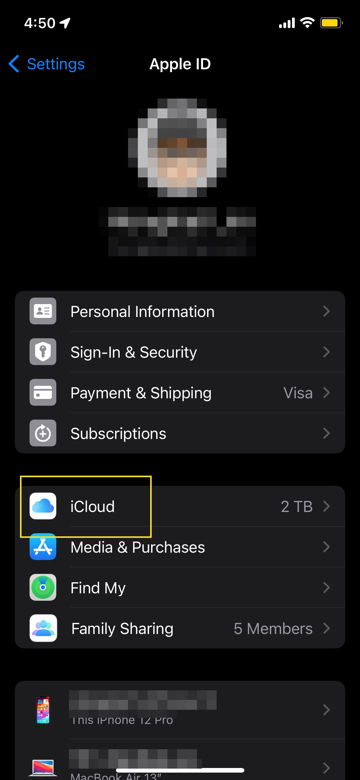 Select iCloud option