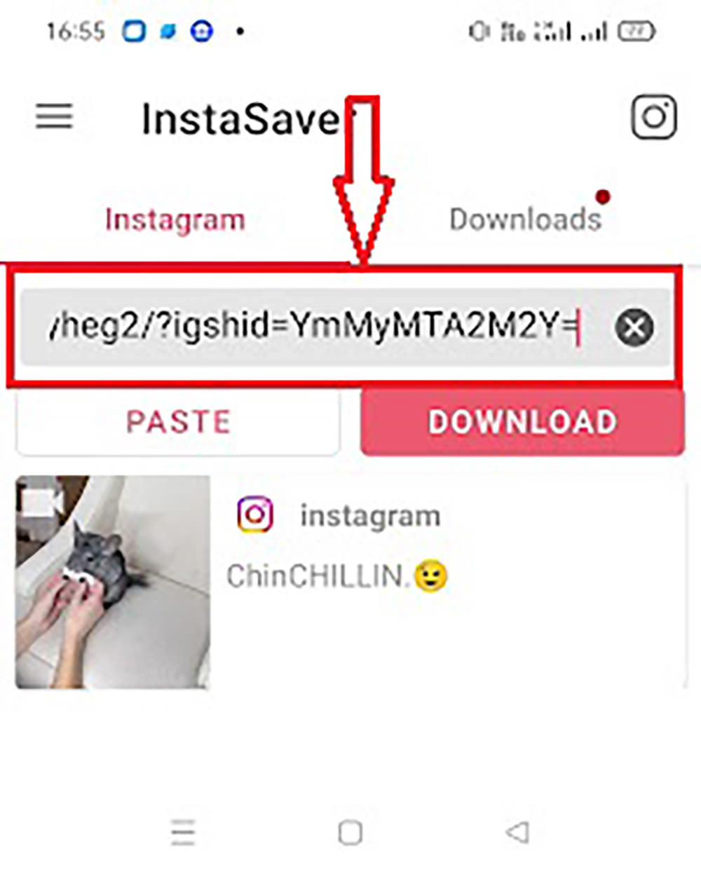 Pasting URL in Video Downloader app for Instagram Reel