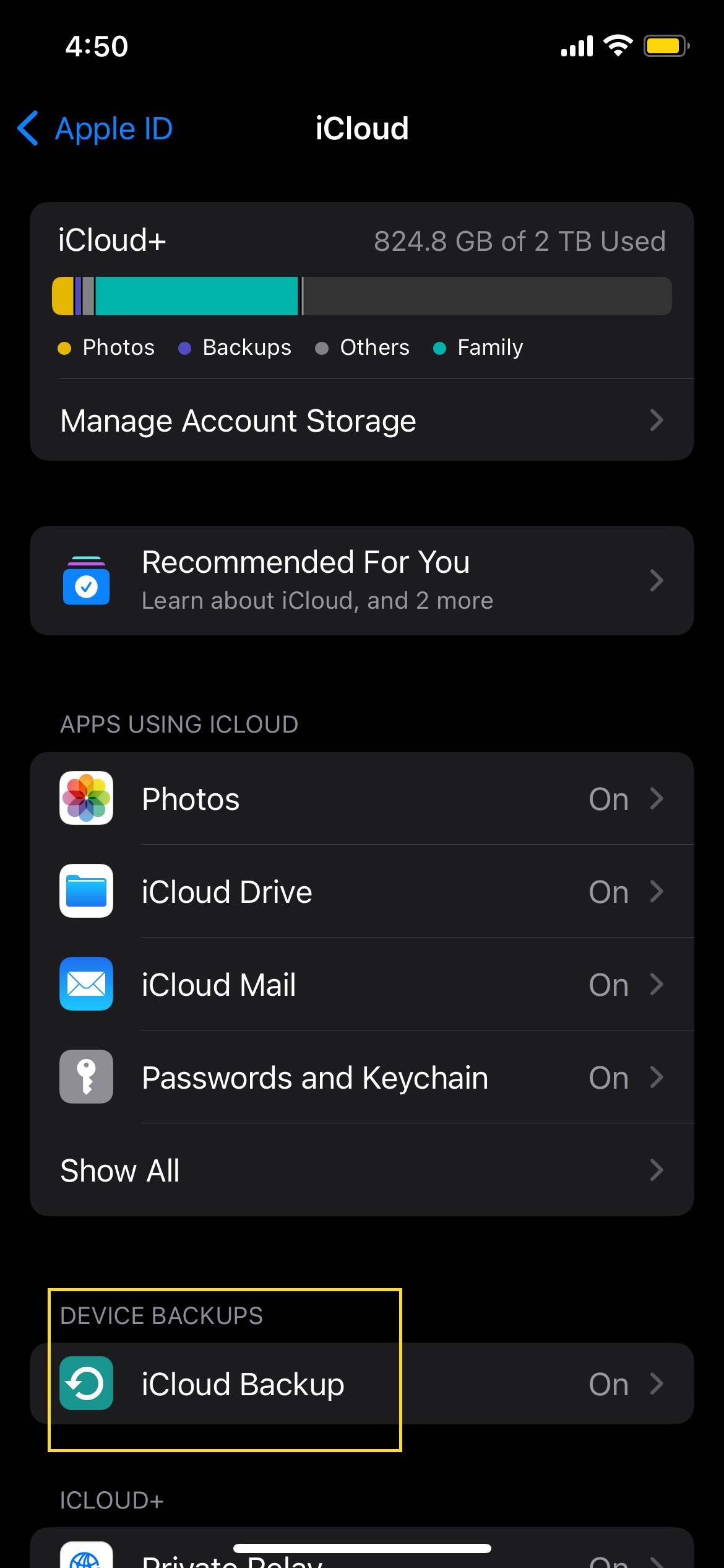 iCloud Backup menu