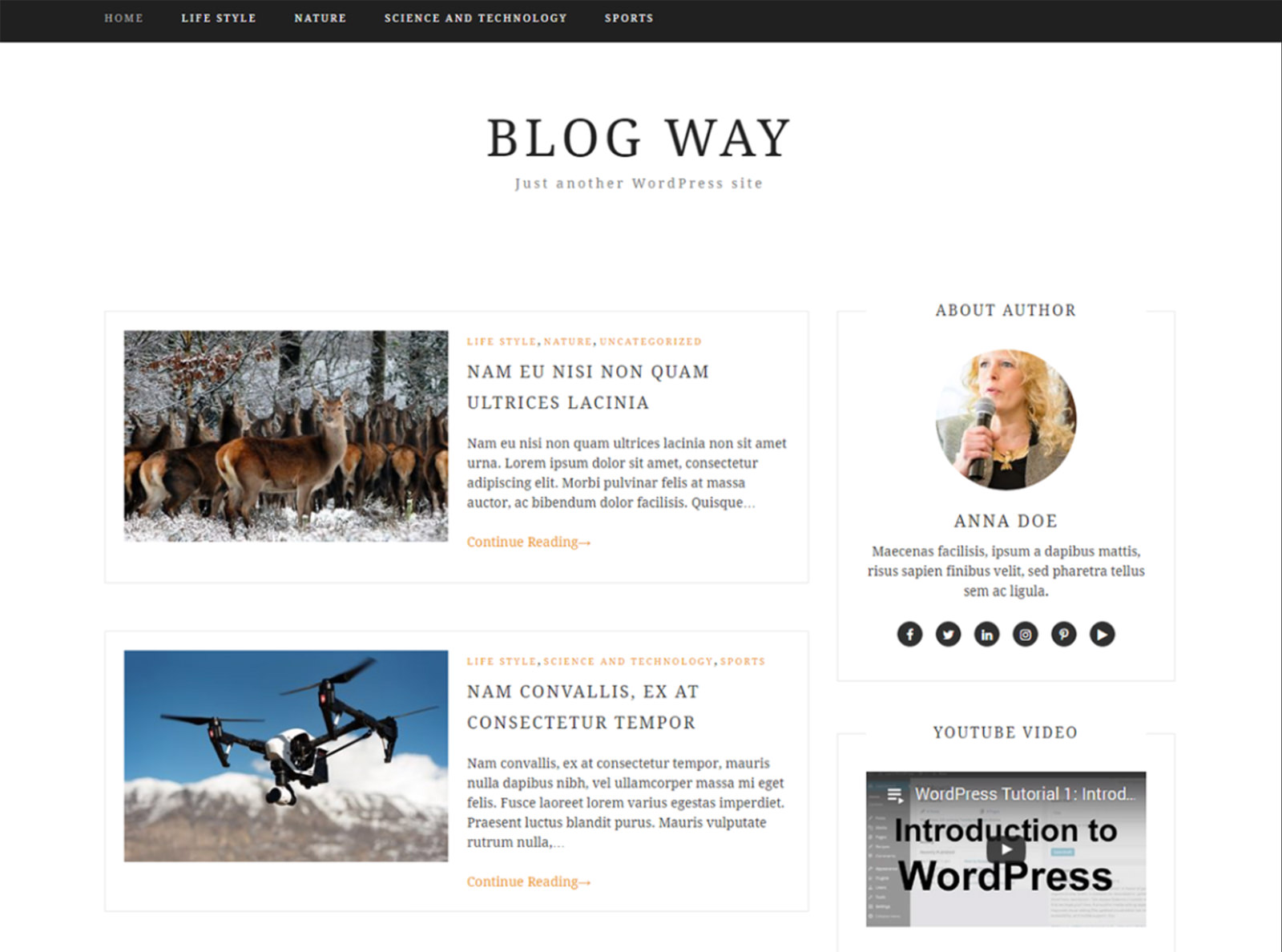 Blog Way WordPress Theme