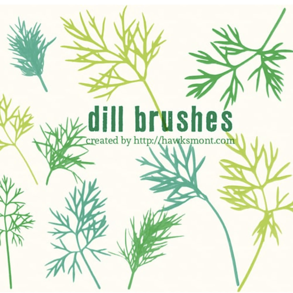 Dill Brushes