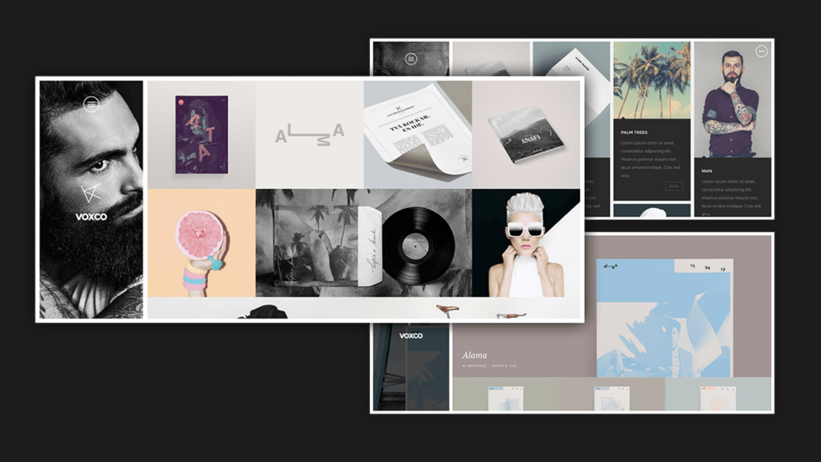 Portfolio WordPress Themes