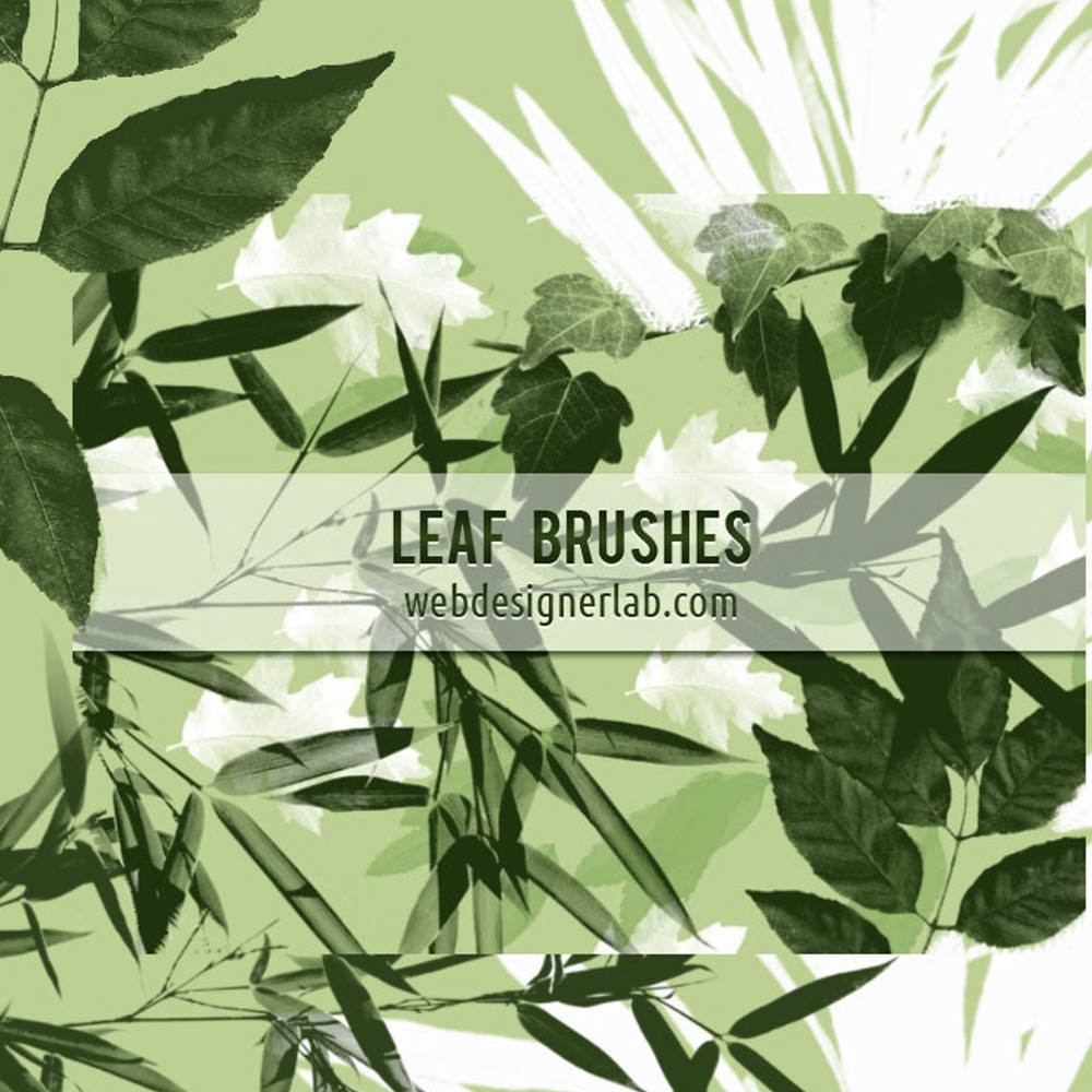 Leaf Brushes