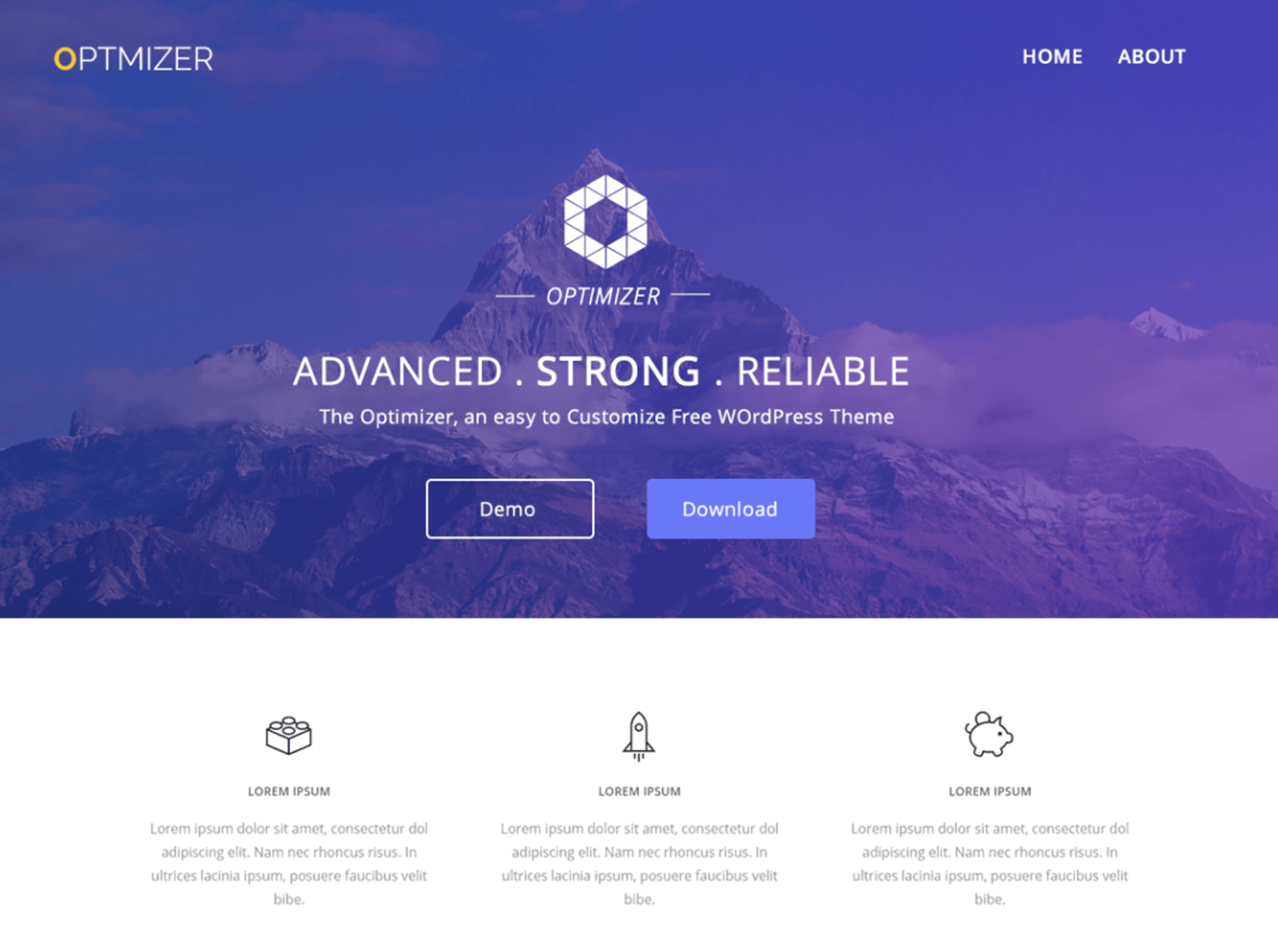 Optimizer WordPress Theme