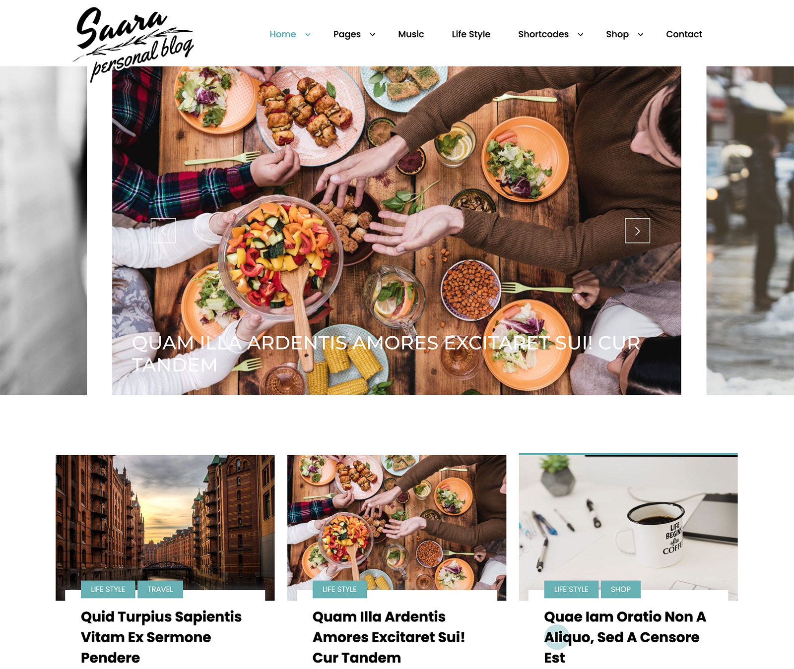 Saara WordPress Theme