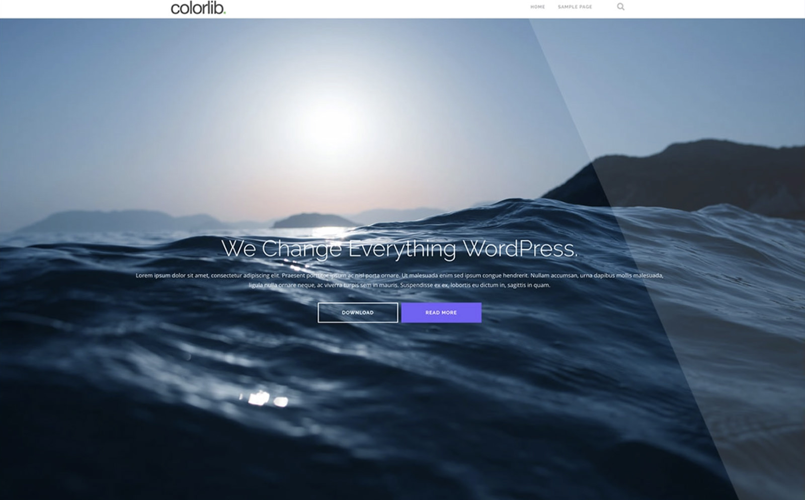 Shapely WordPress Theme