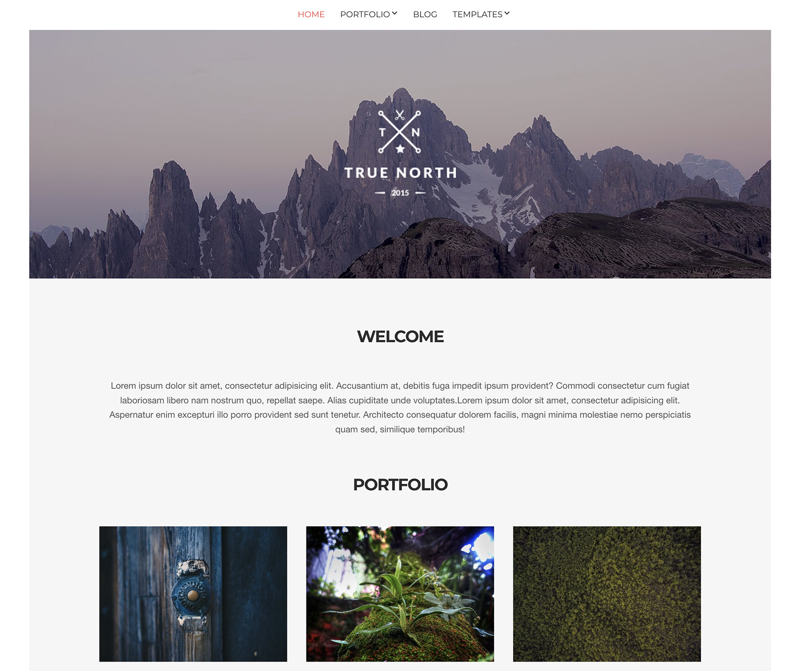 TrueNorth WordPress Theme